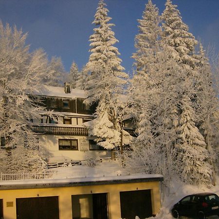 Pension Stiegelmeier Винтерберг Екстериор снимка